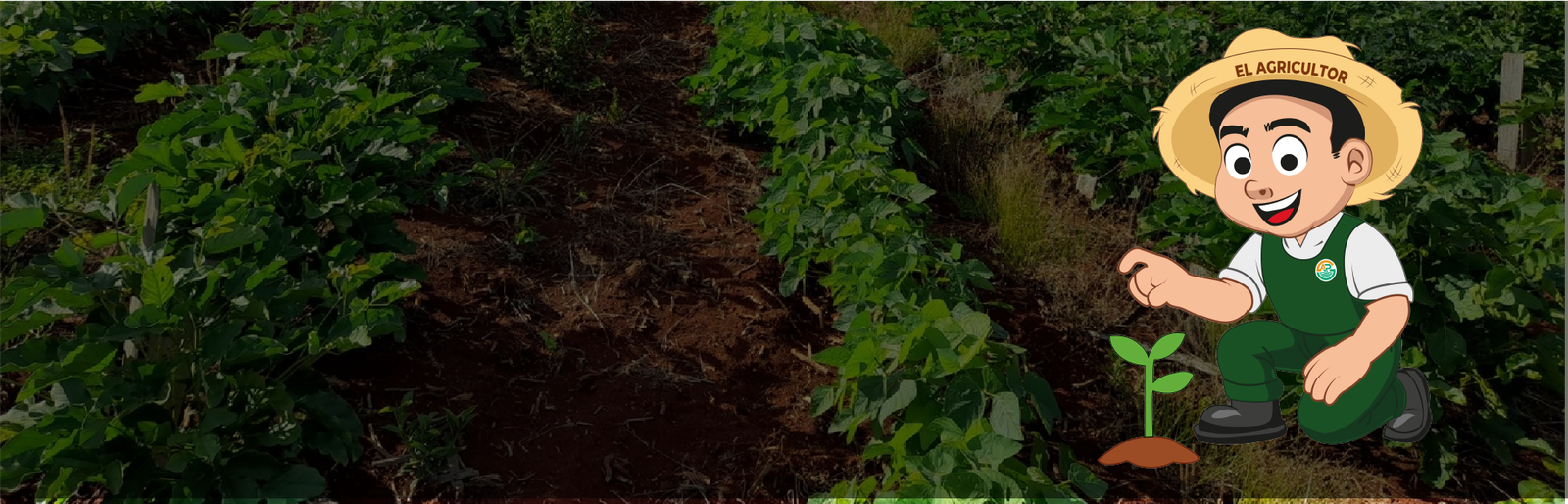 MI DORIS RESTAURANT Productos